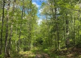 400.16+/- acres Perfect Opportunity for your Family Compound.