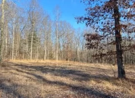 400.16+/- acres Perfect Opportunity for your Family Compound.