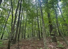 400.16+/- acres Perfect Opportunity for your Family Compound.