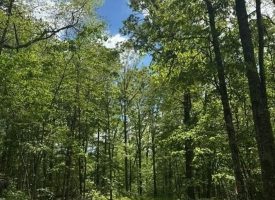 400.16+/- acres Perfect Opportunity for your Family Compound.