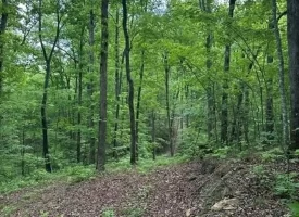 400.16+/- acres Perfect Opportunity for your Family Compound.