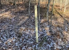 400.16+/- acres Perfect Opportunity for your Family Compound.