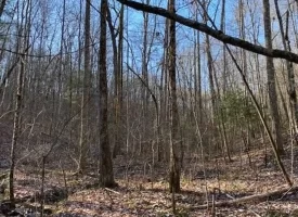 400.16+/- acres Perfect Opportunity for your Family Compound.