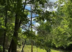 400.16+/- acres Perfect Opportunity for your Family Compound.