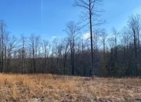 400.16+/- acres Perfect Opportunity for your Family Compound.