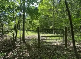 400.16+/- acres Perfect Opportunity for your Family Compound.