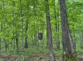 400.16+/- acres Perfect Opportunity for your Family Compound.