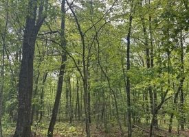 400.16+/- acres Perfect Opportunity for your Family Compound.