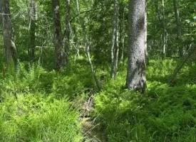 400.16+/- acres Perfect Opportunity for your Family Compound.