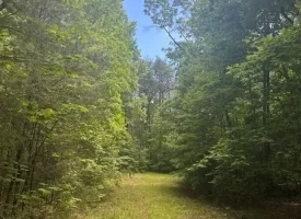 Escape to the peace and privacy of rural Grundy County with this beautiful 5.01+/-acres