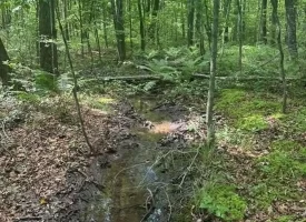 Escape to the peace and privacy of rural Grundy County with this beautiful 5.01+/-acres