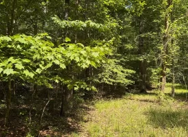 Escape to the peace and privacy of rural Grundy County with this beautiful 5.01+/-acres