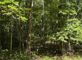 Escape to the peace and privacy of rural Grundy County with this beautiful 5.01+/-acres