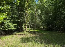 Escape to the peace and privacy of rural Grundy County with this beautiful 5.01+/-acres