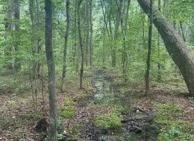 Escape to the peace and privacy of rural Grundy County with this beautiful 5.01+/-acres