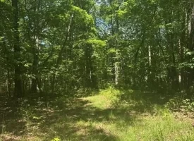 Escape to the peace and privacy of rural Grundy County with this beautiful 5.01+/-acres
