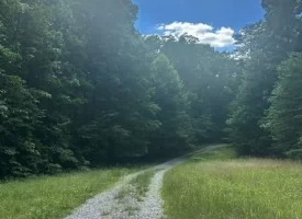 Escape to the peace and privacy of rural Grundy County with this beautiful 5.01+/-acres
