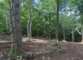 5.01+/-acres Discover the perfect blend of privacy and recreation with this beautiful wooded tract atop South Pittsburg Mountain
