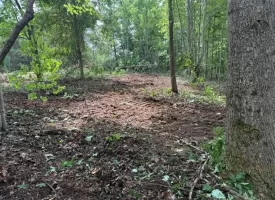 5.01+/-acres Discover the perfect blend of privacy and recreation with this beautiful wooded tract atop South Pittsburg Mountain