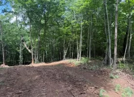 5.01+/-acres Discover the perfect blend of privacy and recreation with this beautiful wooded tract atop South Pittsburg Mountain