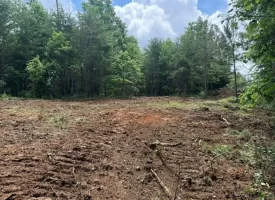 5.01+/-acres Discover the perfect blend of privacy and recreation with this beautiful wooded tract atop South Pittsburg Mountain