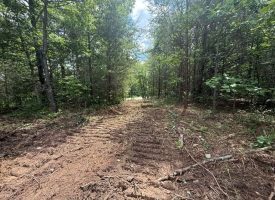 5.01+/-acres Discover the perfect blend of privacy and recreation with this beautiful wooded tract atop South Pittsburg Mountain