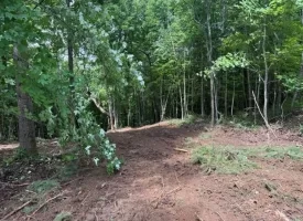 5.01+/-acres Discover the perfect blend of privacy and recreation with this beautiful wooded tract atop South Pittsburg Mountain
