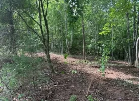 5.01+/-acres Discover the perfect blend of privacy and recreation with this beautiful wooded tract atop South Pittsburg Mountain