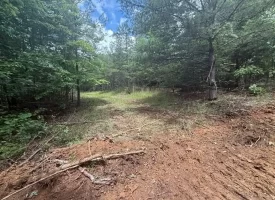 5.49+/-acres on South Pittsburg Mtn with scenic views and outdoor paradise