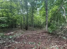 5.49+/-acres on South Pittsburg Mtn with scenic views and outdoor paradise