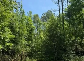40+/-acres in Sequatchie Valley with a Creek