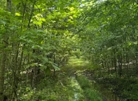 40+/-acres in Sequatchie Valley with a Creek