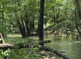 40+/-acres in Sequatchie Valley with a Creek