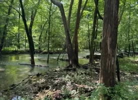 40+/-acres in Sequatchie Valley with a Creek