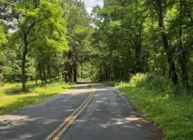 40+/-acres in Sequatchie Valley with a Creek