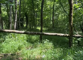 40+/-acres in Sequatchie Valley with a Creek