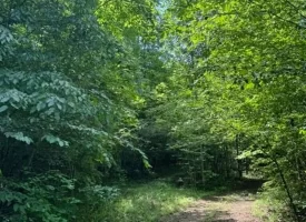 40+/-acres in Sequatchie Valley with a Creek