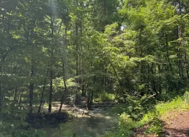 40+/-acres in Sequatchie Valley with a Creek