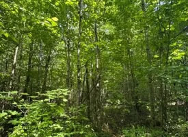 40+/-acres in Sequatchie Valley with a Creek