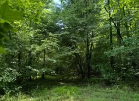 40+/-acres in Sequatchie Valley with a Creek
