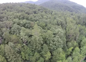 An exceptional opportunity awaits with 1016.06+/-acres of pristine East TN