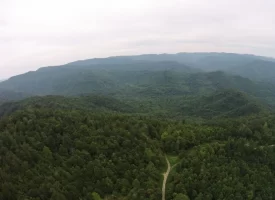 An exceptional opportunity awaits with 1016.06+/-acres of pristine East TN