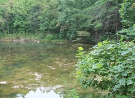 An exceptional opportunity awaits with 1016.06+/-acres of pristine East TN