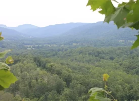 An exceptional opportunity awaits with 1016.06+/-acres of pristine East TN