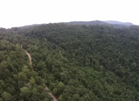 An exceptional opportunity awaits with 1016.06+/-acres of pristine East TN