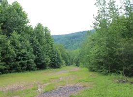 An exceptional opportunity awaits with 1016.06+/-acres of pristine East TN