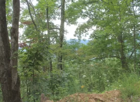 An exceptional opportunity awaits with 1016.06+/-acres of pristine East TN