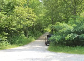 Rare opportunity to own 1016.06+/-acres of breathtaking mountain property in Huntsville TN. Located off of Norma Road