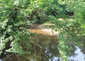 Rare opportunity to own 1016.06+/-acres of breathtaking mountain property in Huntsville TN. Located off of Norma Road