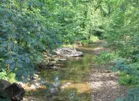 Rare opportunity to own 1016.06+/-acres of breathtaking mountain property in Huntsville TN. Located off of Norma Road
